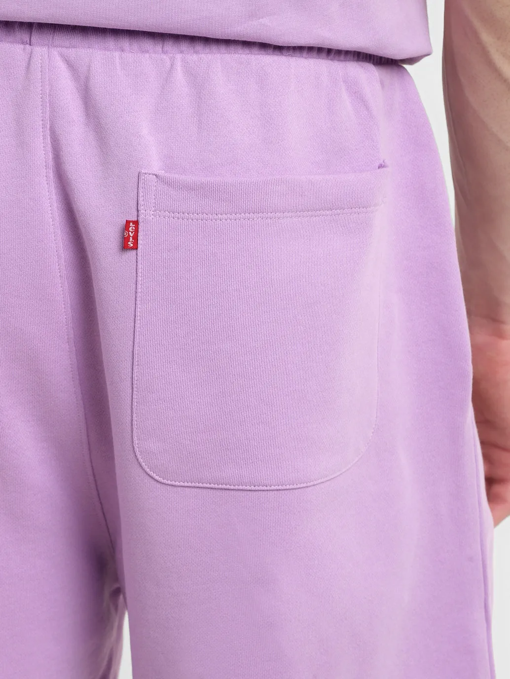 Men's Purple Regular Fit Shorts