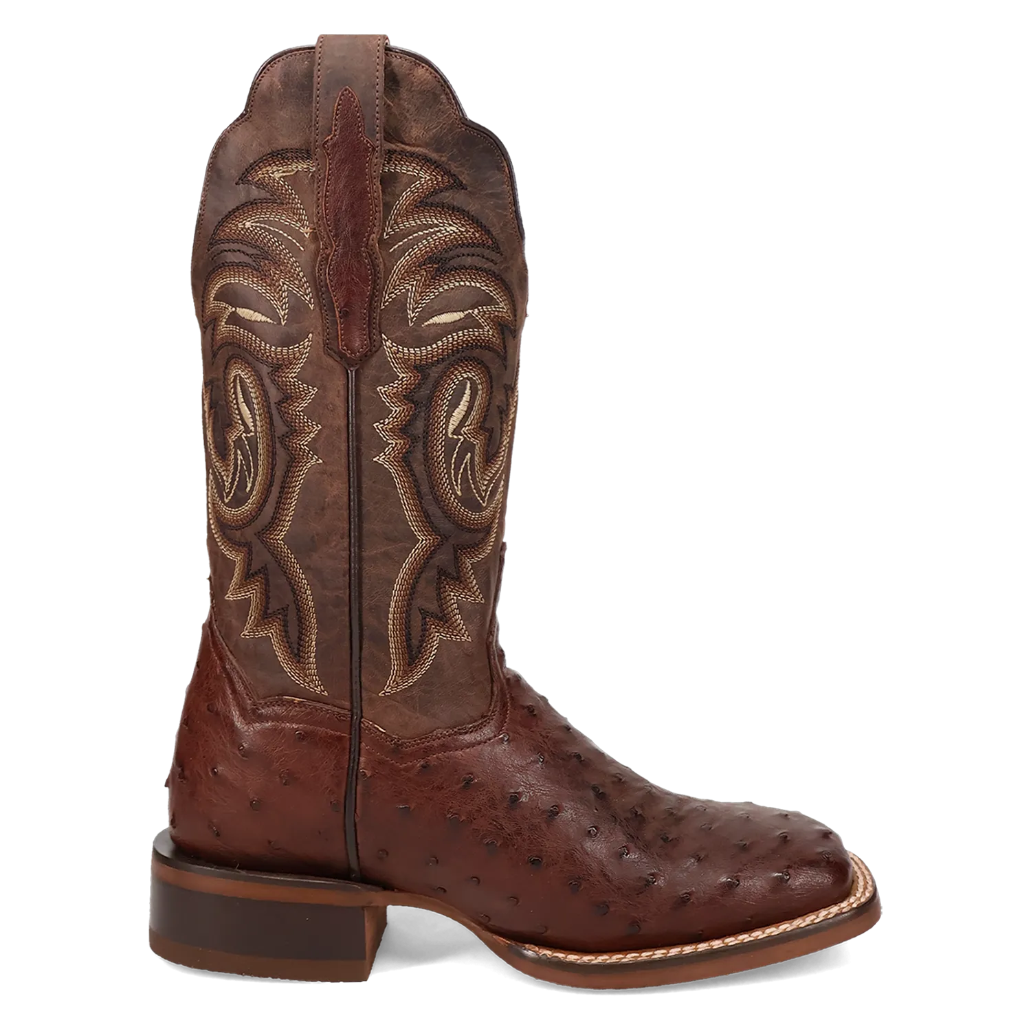 Women's Dan Post DP5250 12" Kylo Chocolate Square Toe Full Quill Ostrich Boot